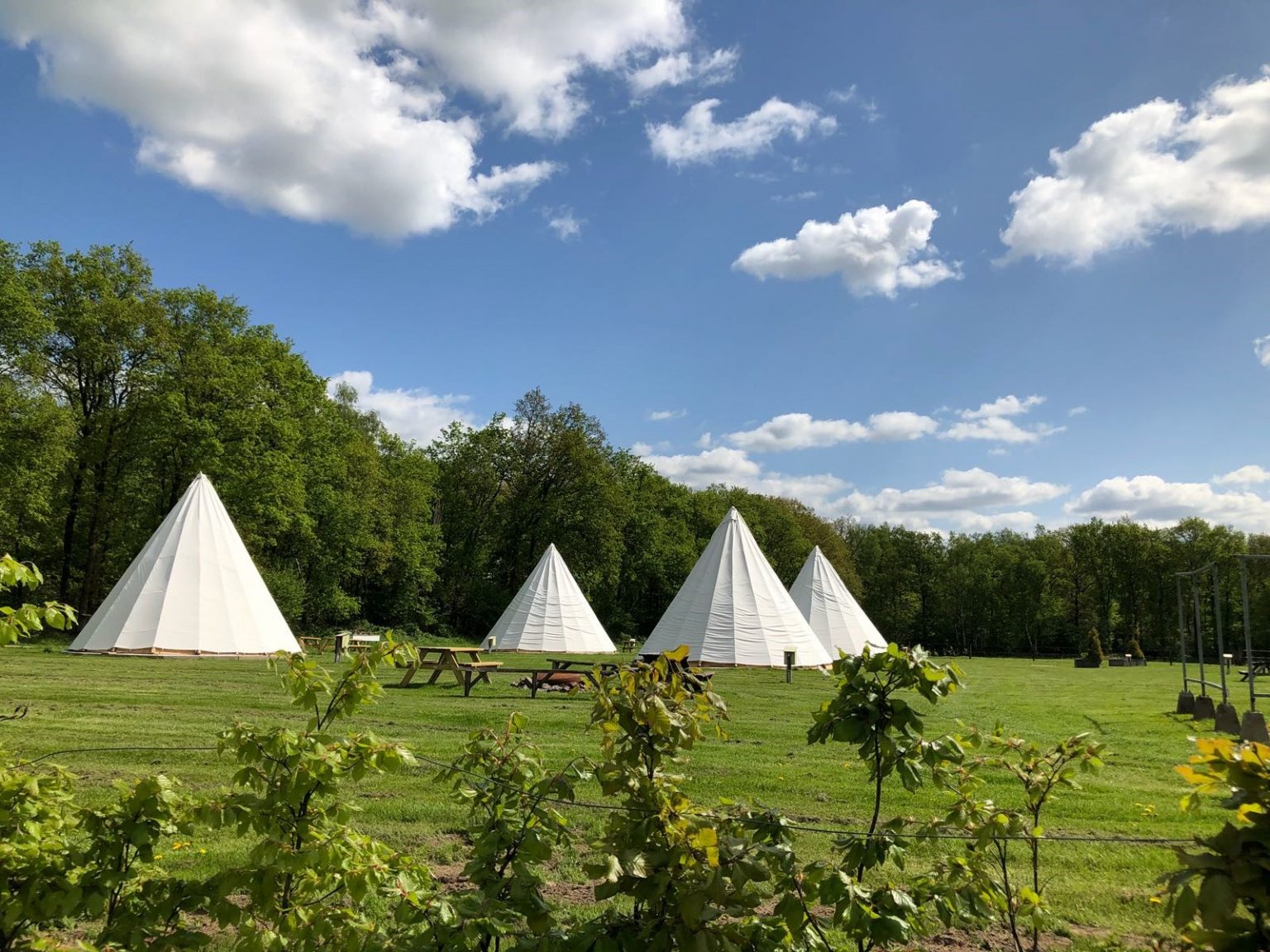Groepsactiviteiten en bedrijfsuitje arrangementen bij De Westerboerderij met natuur
