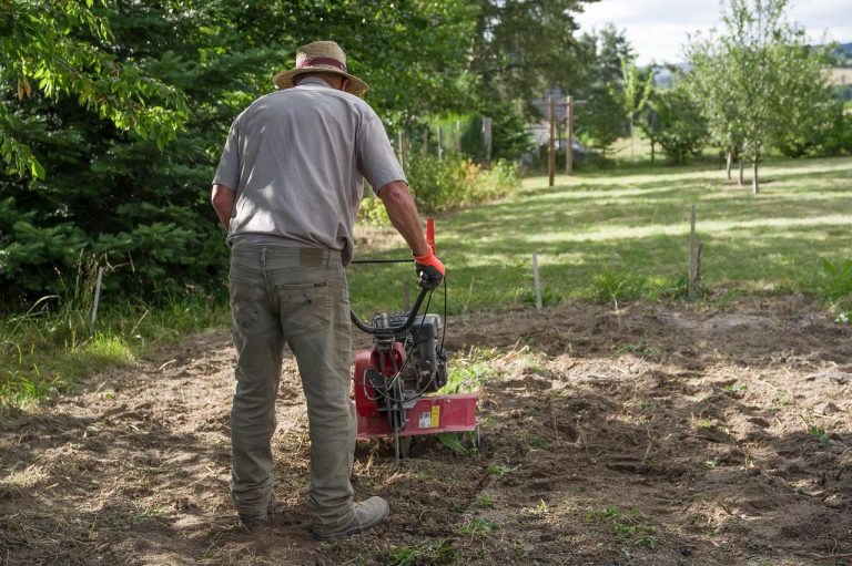 Professionele tuinman in Roermond ontwerpt en onderhoudt groene oases voor prachtige en duurzame tuinen